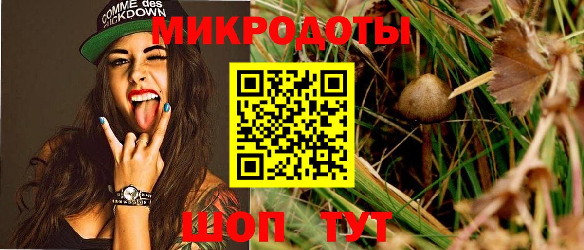 Псилоцибиновые грибы мухоморы Морозовск