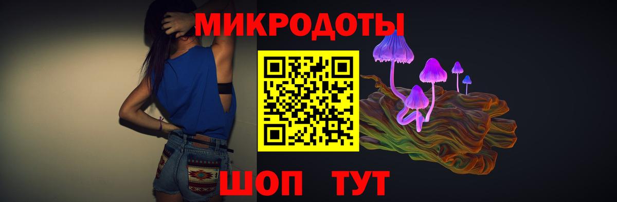 Псилоцибиновые грибы Psilocybine cubensis  Морозовск  Псилоцибиновые грибы Psilocybe 